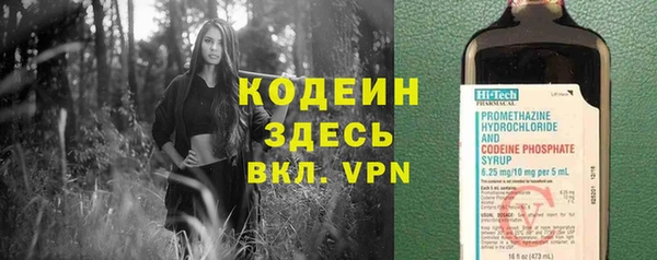 соль ск Ладушкин