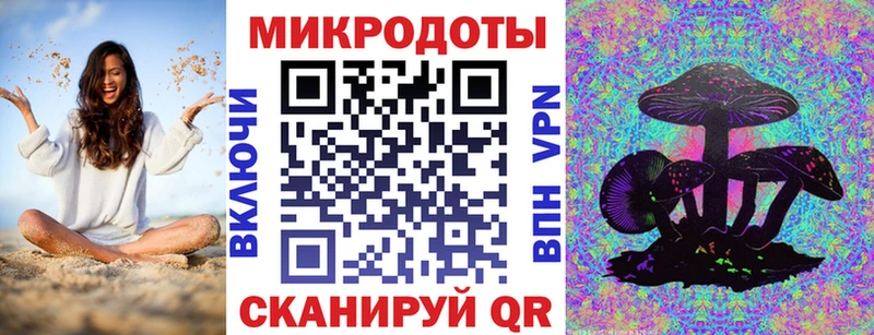 Купить закладки  Черняховск  Псилоцибиновые грибы Psilocybe 